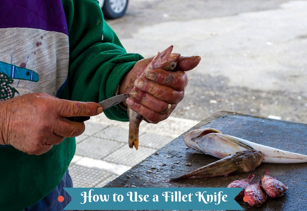 How to Use a Fillet Knife