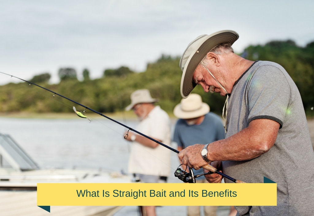 Straight Bait and Its Benefits