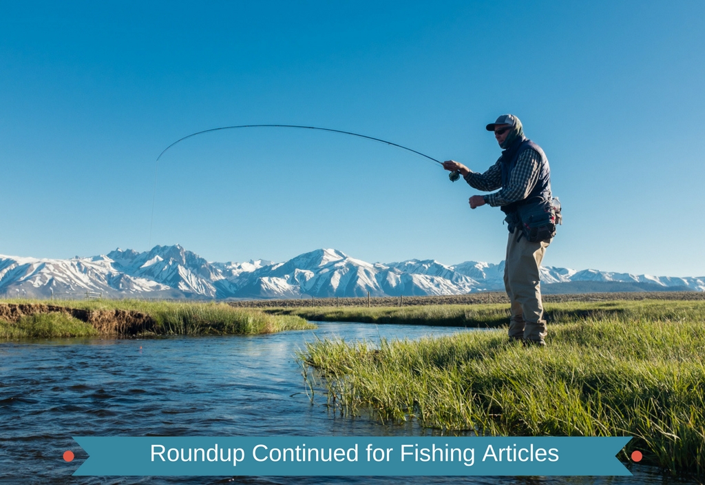 Fishing Articles