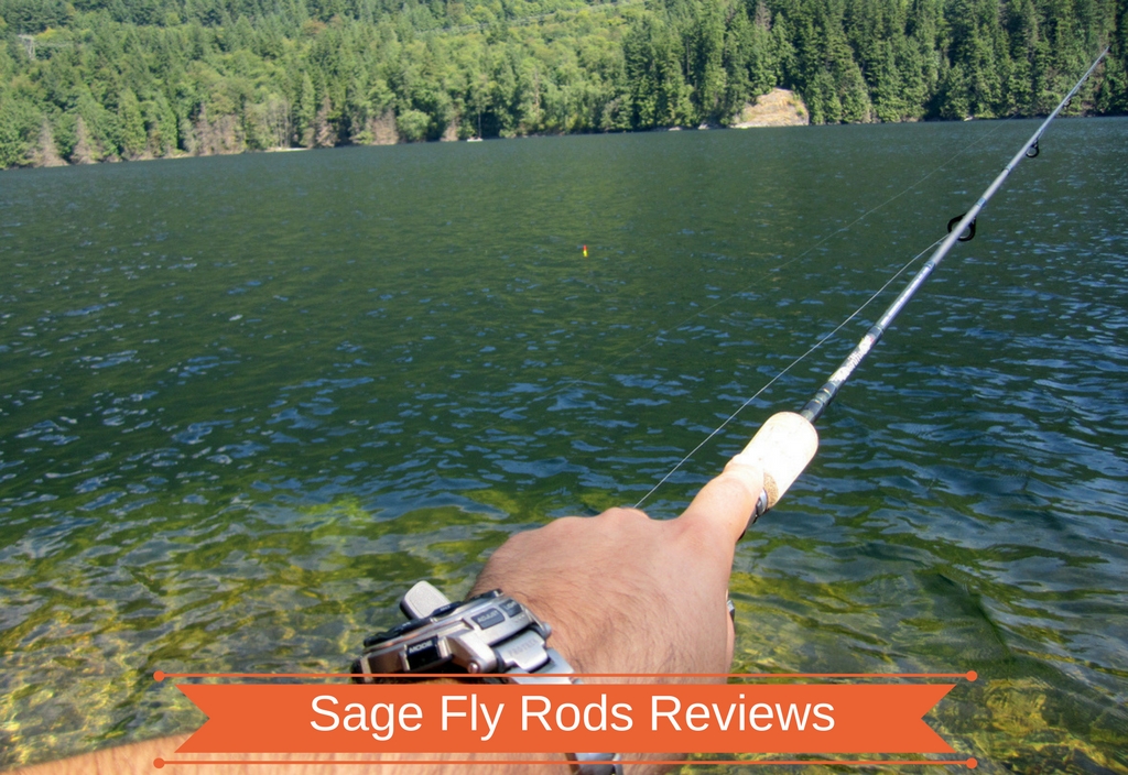 Sage Fly Rods Reviews